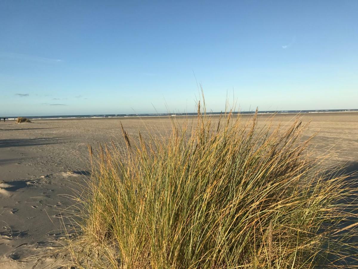Strandlogement Om De Noord Schiermonnikoog Exteriér fotografie